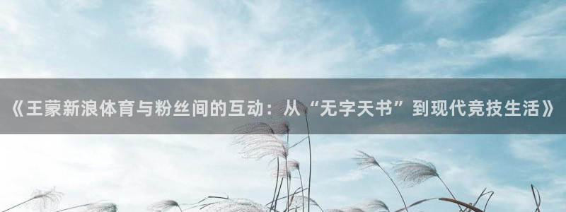 说球帝nba直播在线观看免费app：《王蒙新浪体育与粉丝间的互动：从“无字天书”到现代竞技生活》