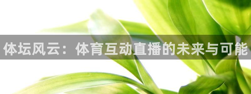 说球帝在线直播免费观看：体坛风云：体育互动直播的未来与可能