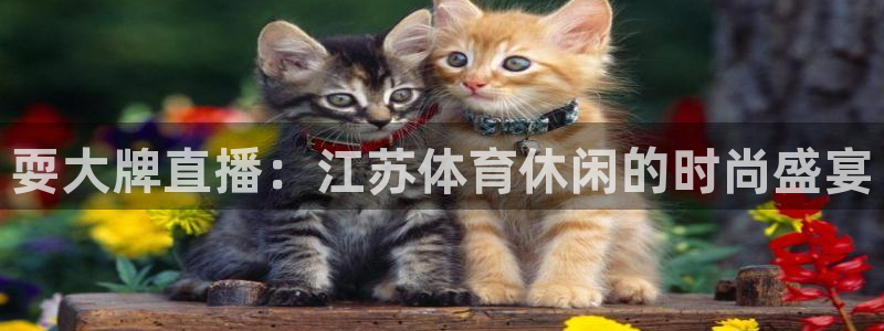 nba在线直播说球帝：耍大牌直播：江苏体育休闲的时尚盛宴