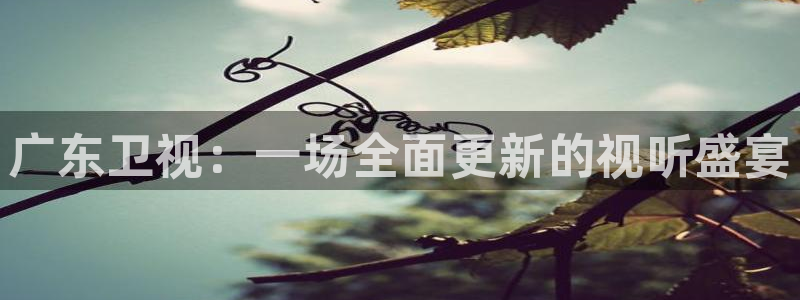 说球帝体育直播免费：广东卫视：一场全面更新的视听盛宴