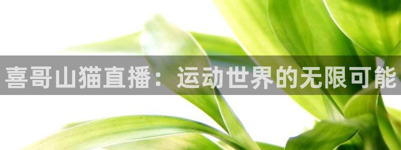 wnba直播免费观看说球帝：喜哥山猫直播：运动世界的无限可能