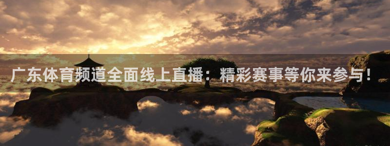 说球帝nba直播在线观看免费回放：广东体育频道全面线上直播：精彩赛事等你来参与！