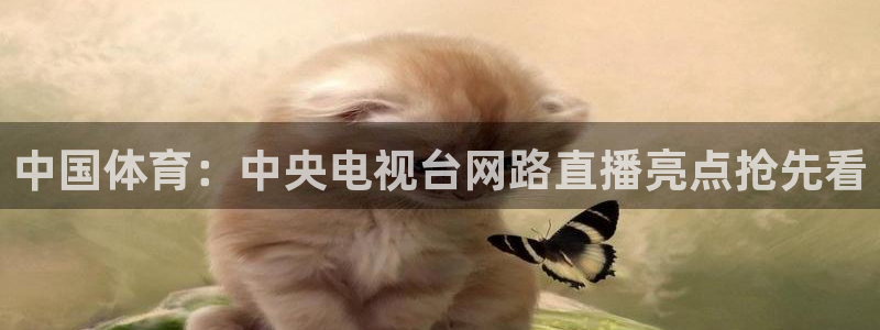 说球帝app官网：中国体育：中央电视台网路直播亮点抢先看