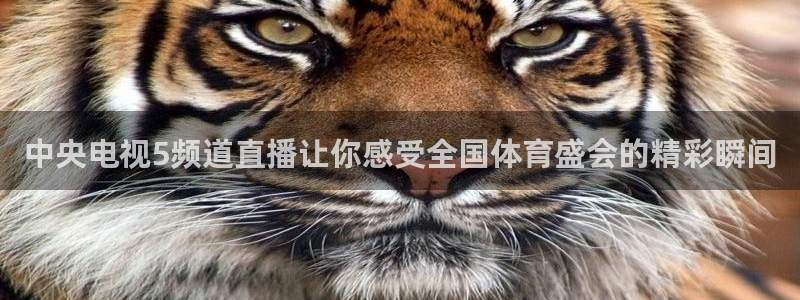 说球帝体育直播在线观看：中央电视5频道直播让你感受全国体育盛会的精彩瞬间