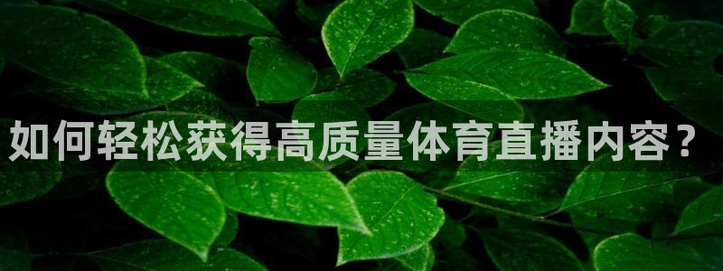 说球帝在线直播：如何轻松获得高质量体育直播内容？