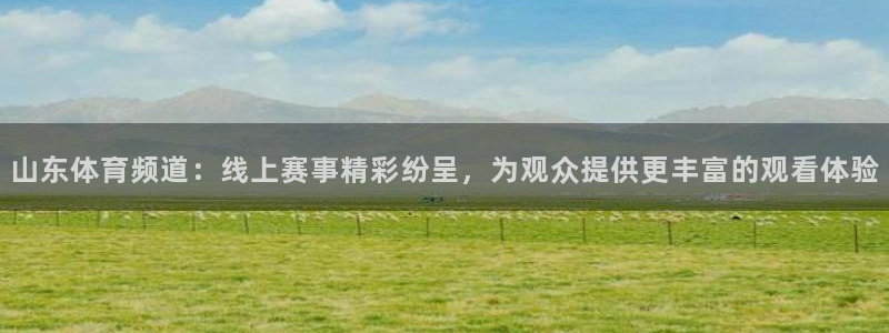说球帝在线观看：山东体育频道：线上赛事精彩纷呈，为观众提供更丰富的观看体验