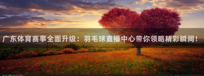 nba视频直播说球帝：广东体育赛事全面升级：羽毛球直播中心带你领略精彩瞬间！
