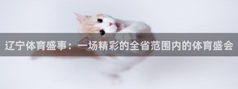 说球帝直播网：辽宁体育盛事：一场精彩的全省范围内的体育盛会