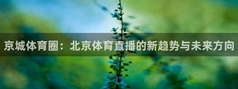 说球帝体育直播：京城体育圈：北京体育直播的新趋势与未来方向