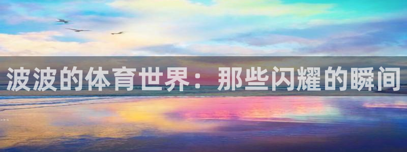 nba直播免费高清无插件直播说球帝：波波的体育世界：那些闪耀的瞬间