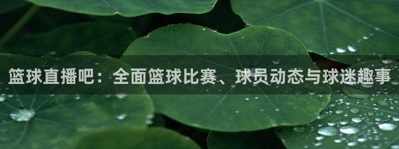 nba视频直播说球帝：篮球直播吧：全面篮球比赛、球员动态与球迷趣事