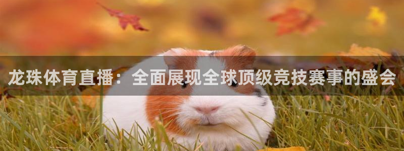 说球帝在线直播：龙珠体育直播：全面展现全球顶级竞技赛事的盛会