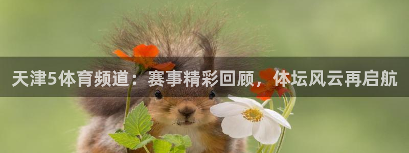 说球帝直播官网下载：天津5体育频道：赛事精彩回顾，体坛风云再启航