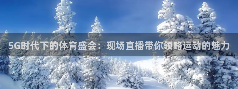 nba说球帝直播在线观看：5G时代下的体育盛会：现场直播带你领略运动的魅力