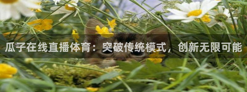 说球帝体育在线直播：瓜子在线直播体育：突破传统模式，创新无限可能