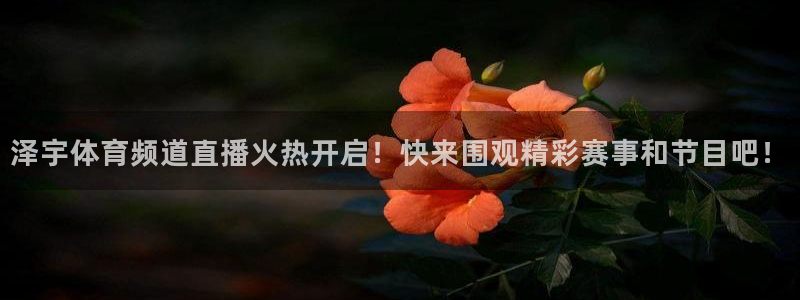说球帝nba在线直播篮球：泽宇体育频道直播火热开启！快来围观精彩赛事和节目吧！